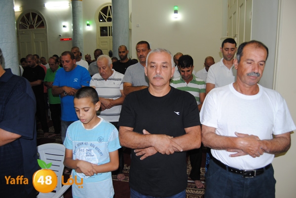 3akila jame3 803 (4).JPG